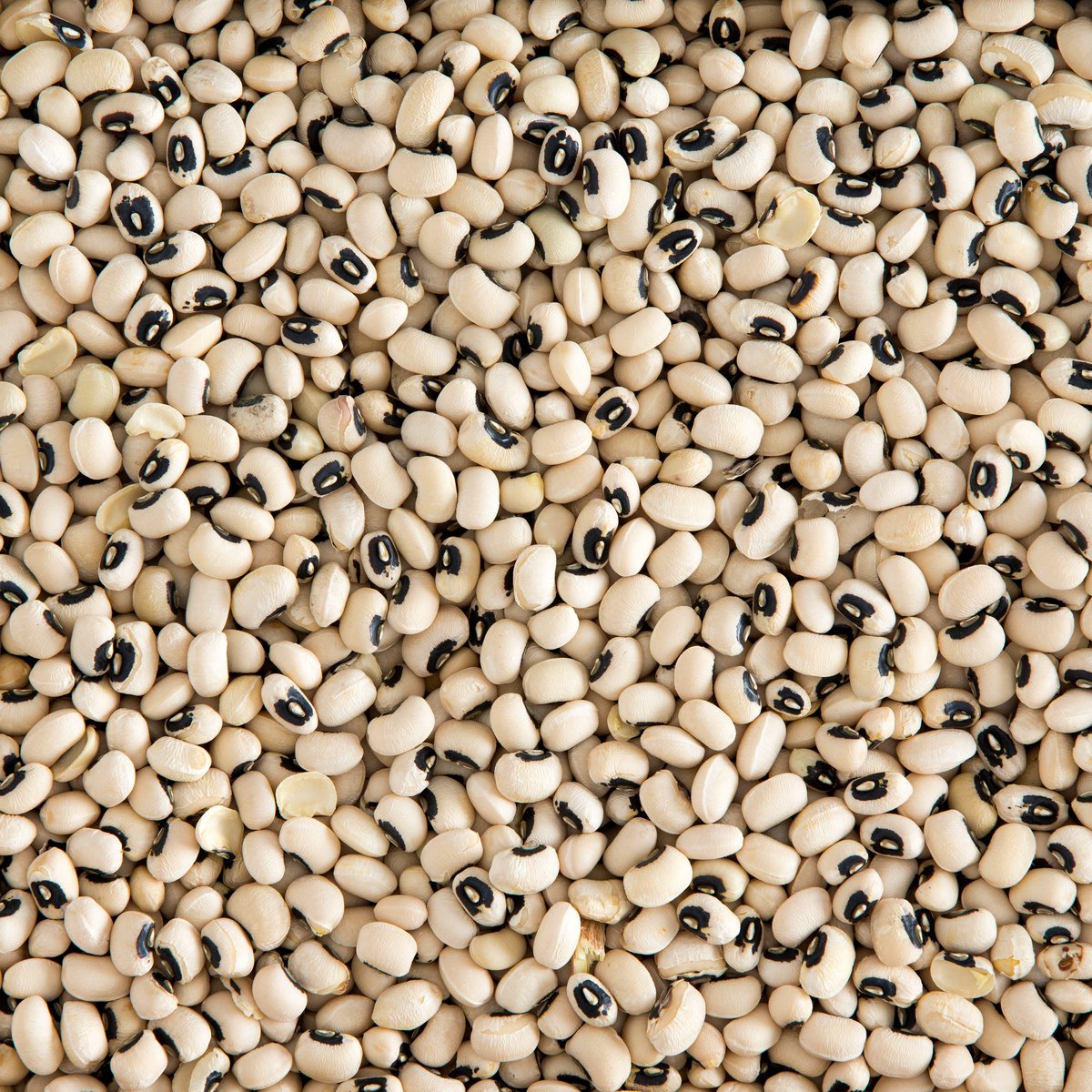 Black Eyed Beans