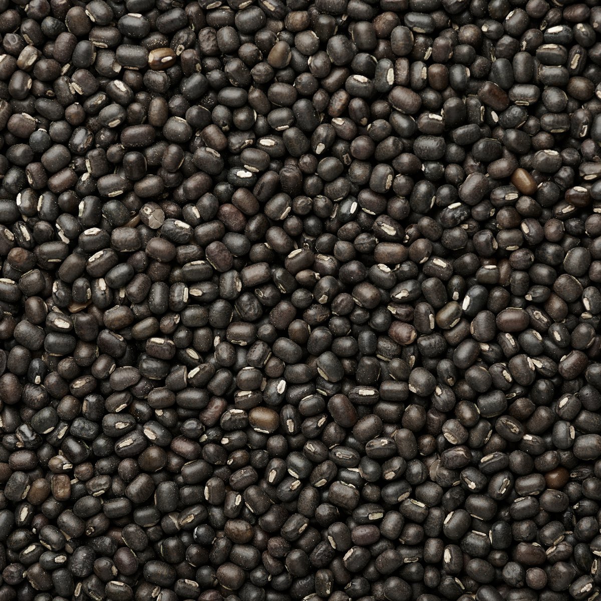 Black Matpe