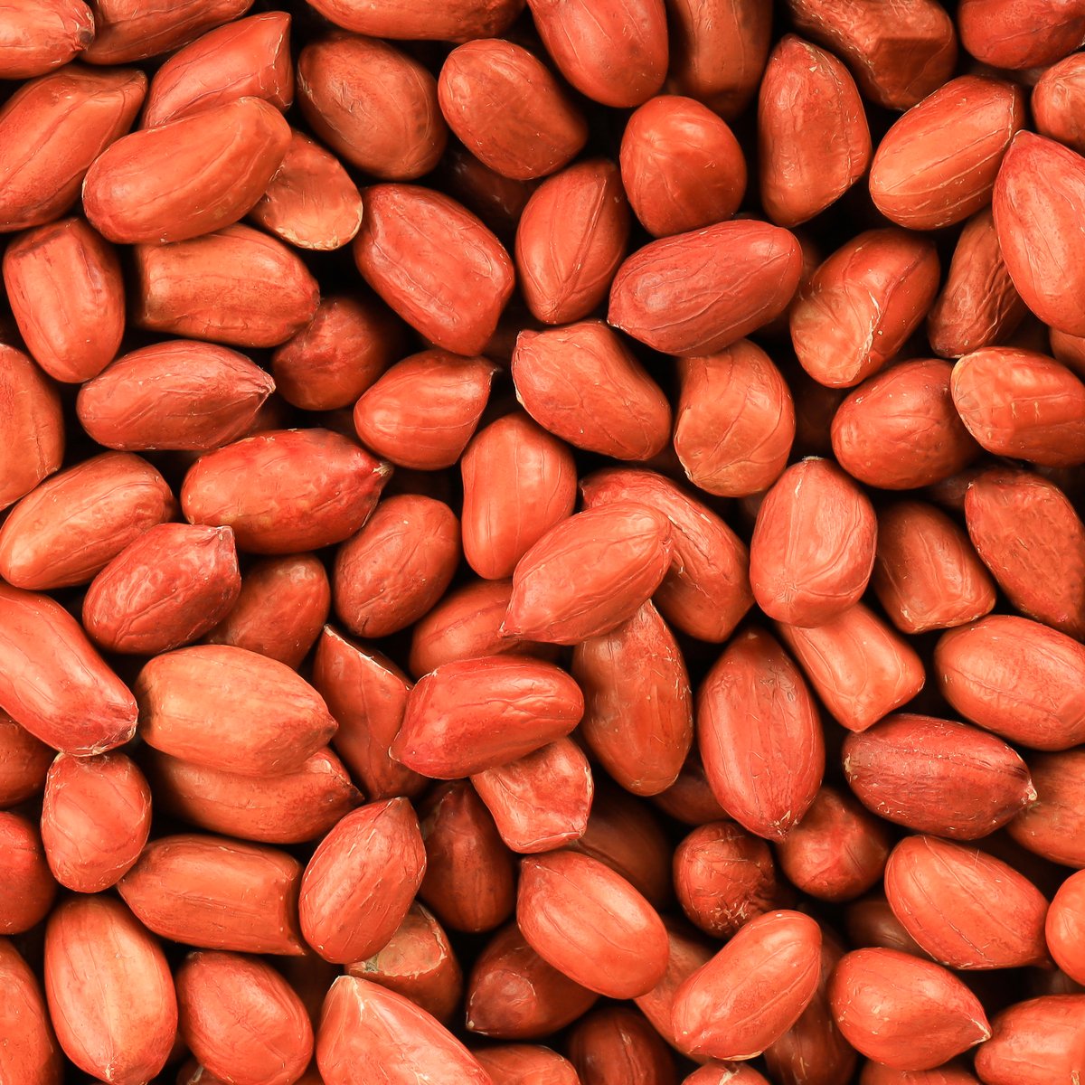Bold Peanut