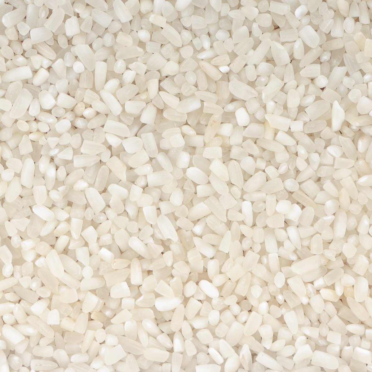 100% Broken Sortex Rice