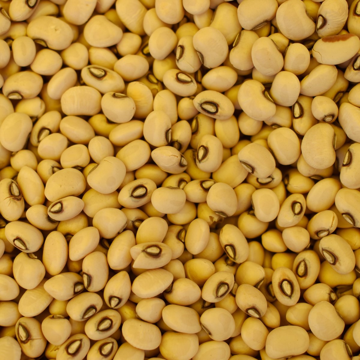 Brown Eyed Beans
