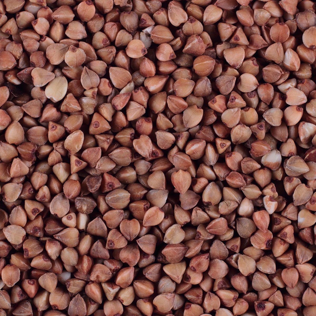 Buckwheat