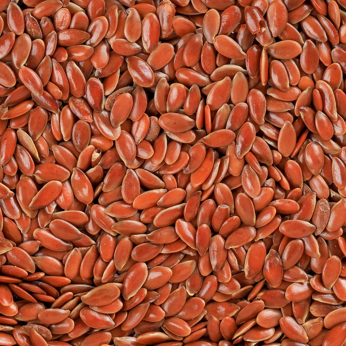 Flax Seeds