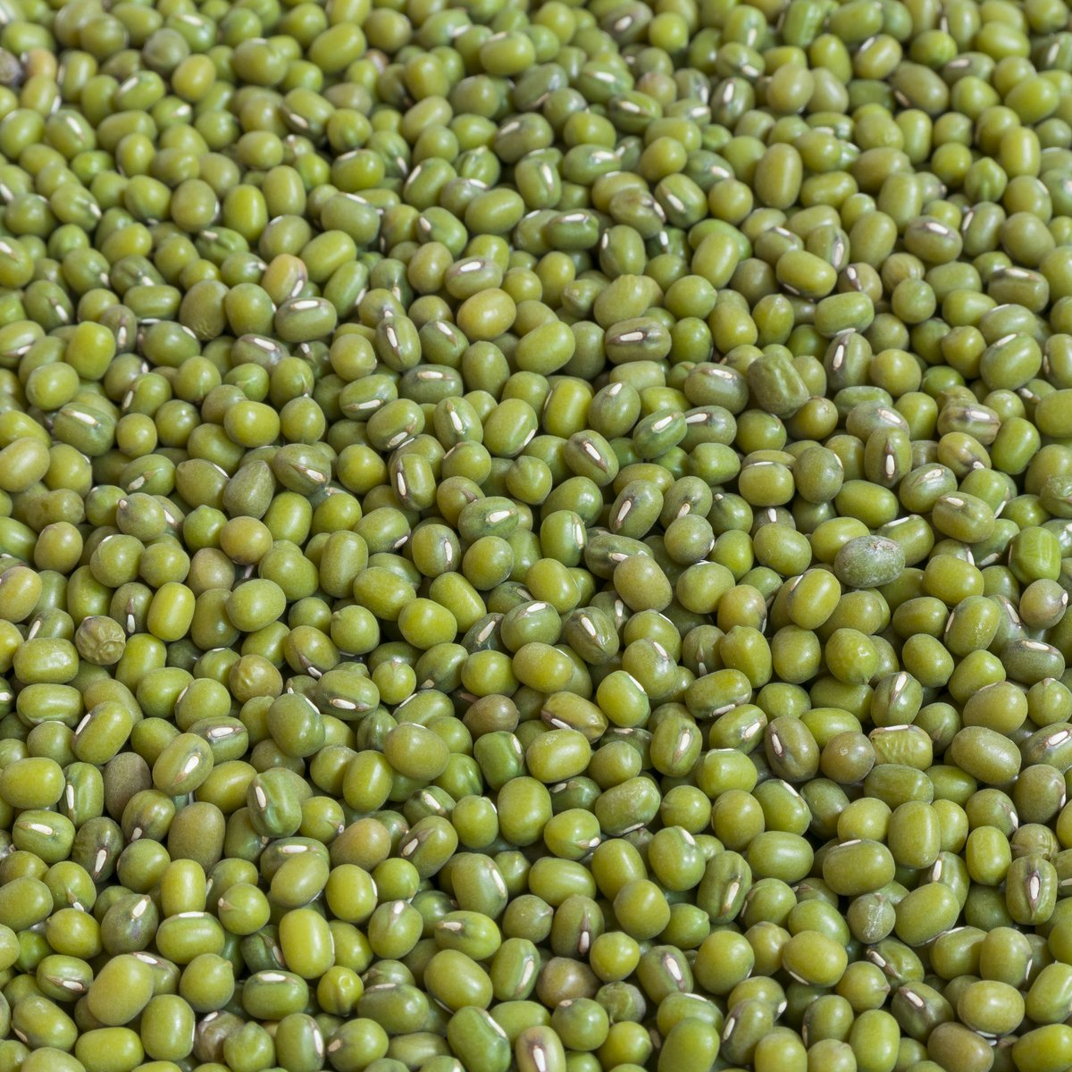 Green Mung Beans