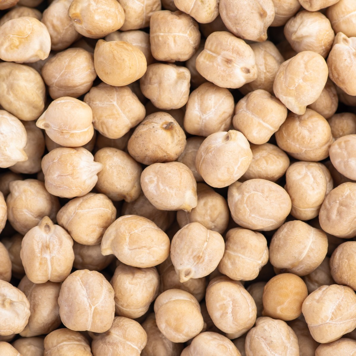 Kabuli Chickpeas Big