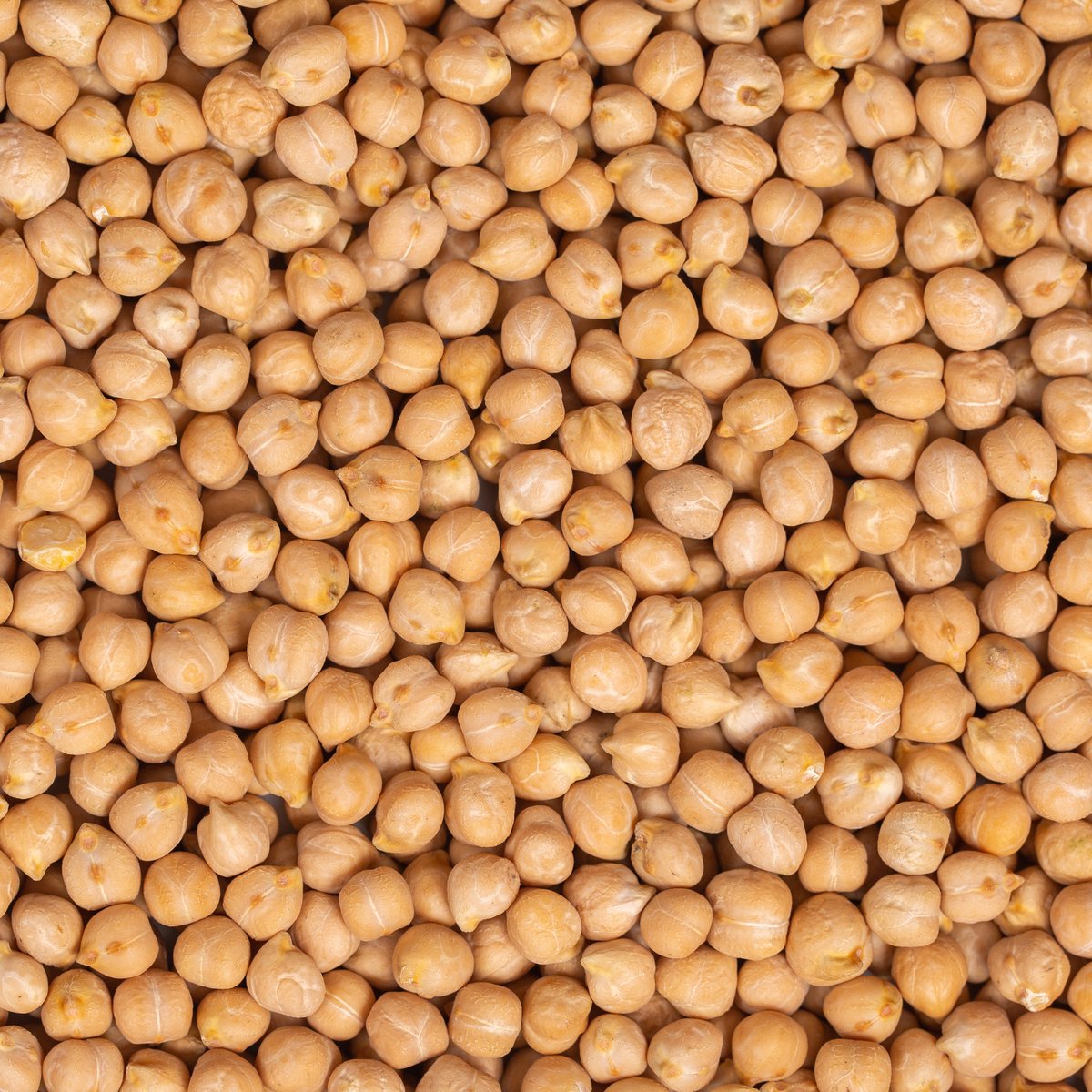 Kabuli Chickpeas