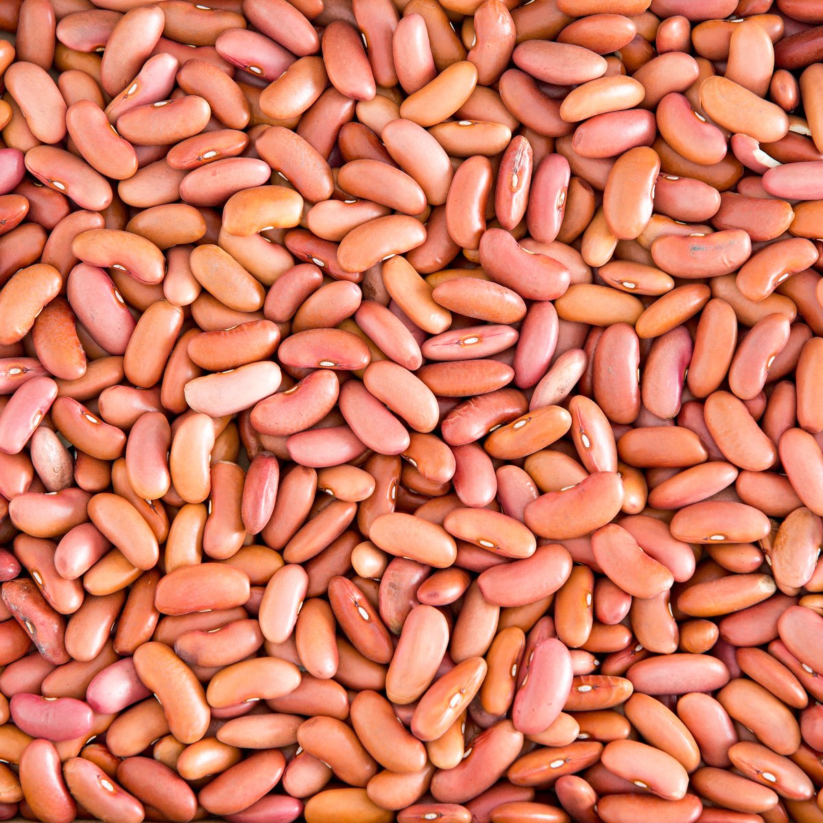 Light Skin Kidney Beans