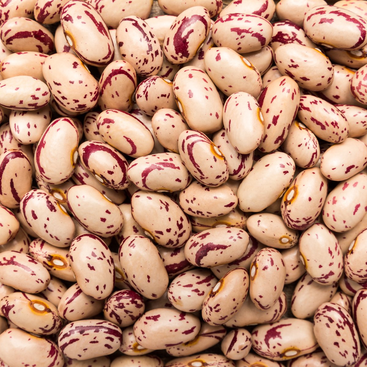 Light Speckled Kidney Beans