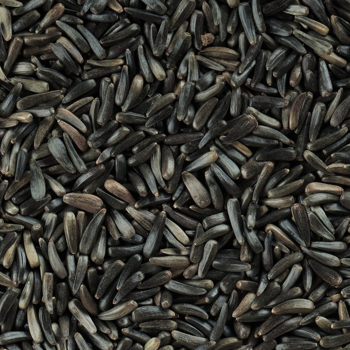 Niger Seeds