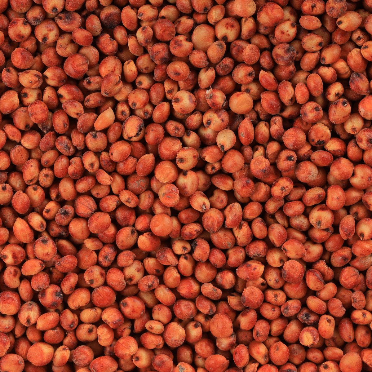 Red Sorghum