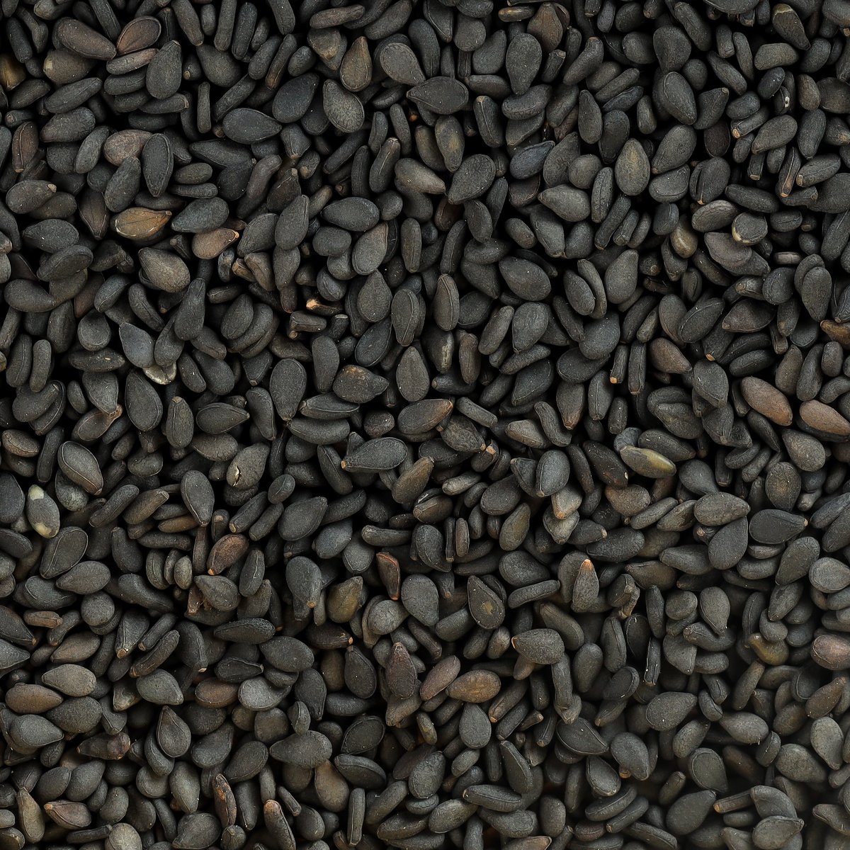 Z Black Sesame Seeds